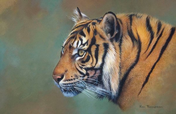 Картина джунгли