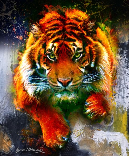 Бенгальский тигр