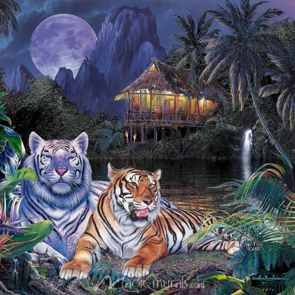 Руслан тигр