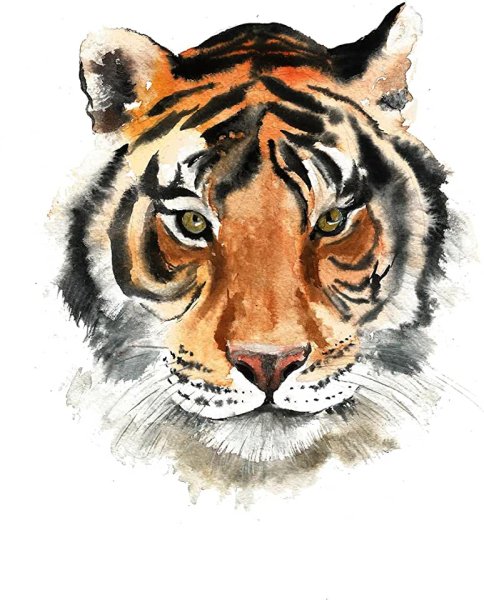 Тигр на снегу