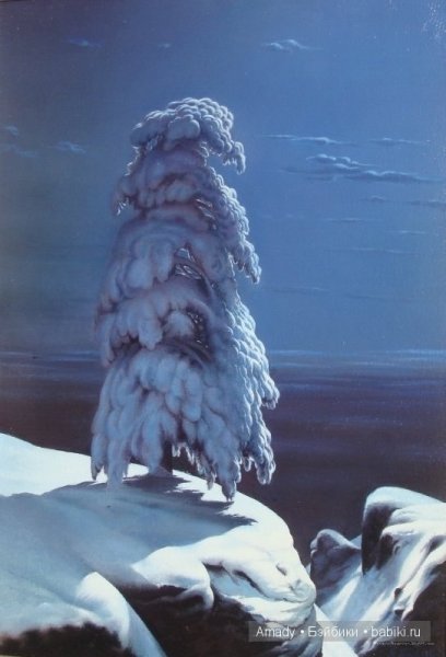 Шишкина на севере диком