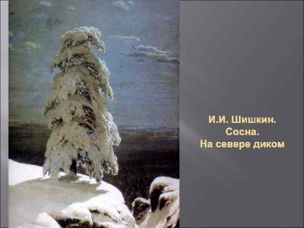 На севере диком описание