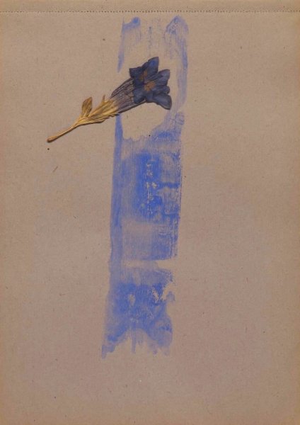 Йозеф бойс художник