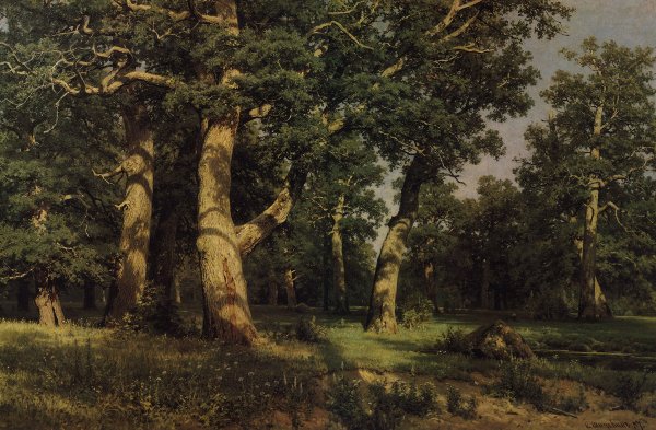 Шишкин дубовая роща