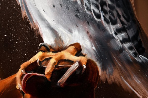 Художница Дарья Колосова