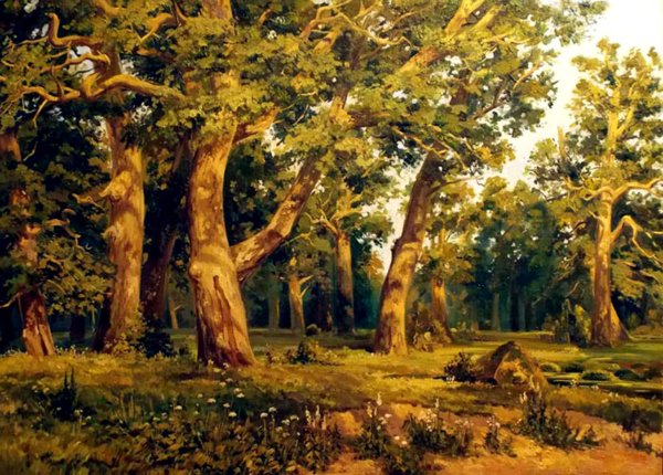 Картина Дубрава Шишкина