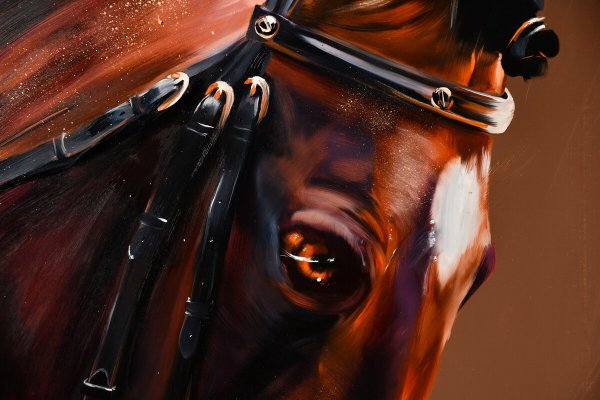 Дарья Колосова художник