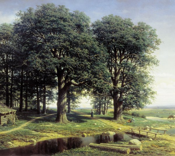 Шишкин дубы 1887