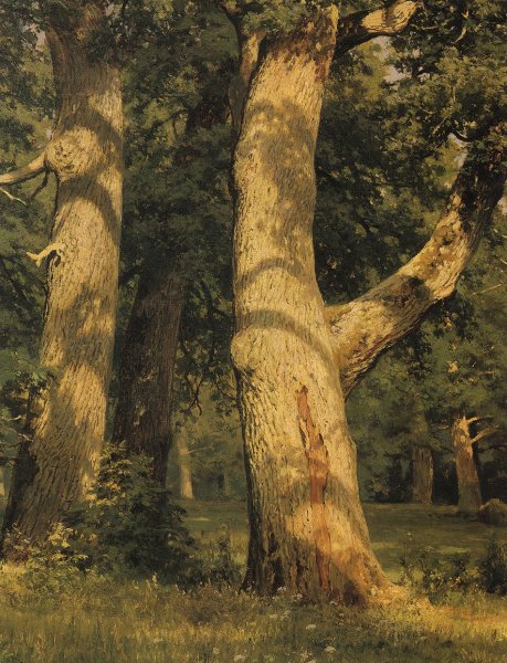 Шишкин Иван Иванович дубовая роща