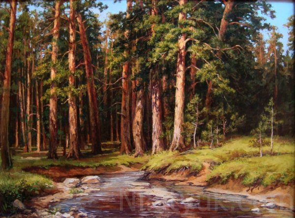 Шишкин мачтовый лес в Вятской губернии