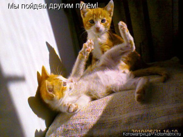Мы пойдём другим путём