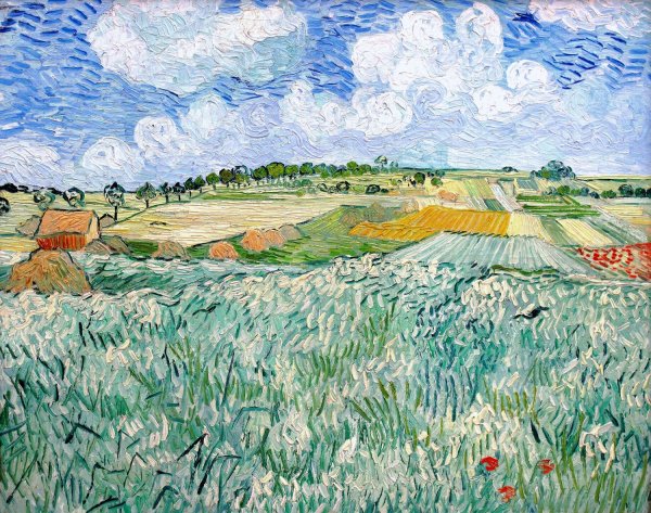 Ван Гог поля в овере