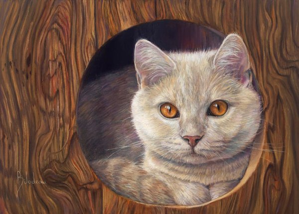 Художник Lucie Bilodeau