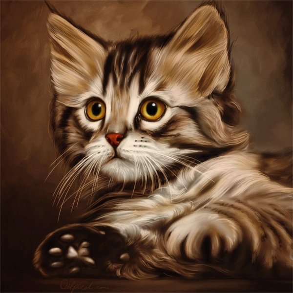 Портрет котенка