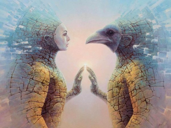 Томаш Ален Копера