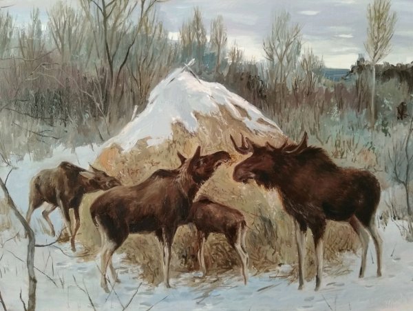 Картинная галерея Александра Степановича Степановича лоси