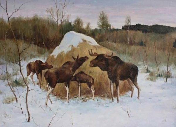 Алексей Степанов лоси