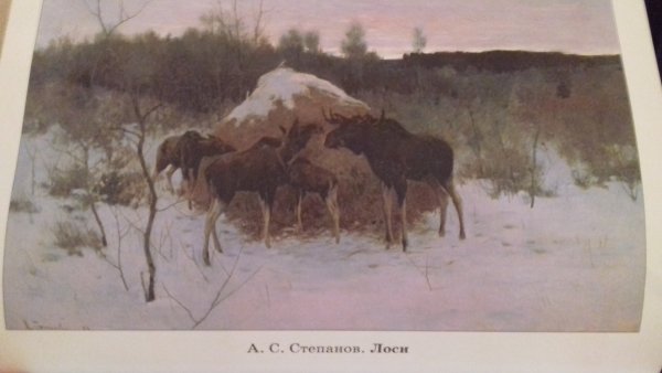 Алексей Степанович Степанов лоси