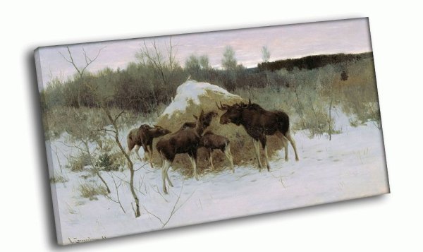 Алексей Степанович Степанов лоси