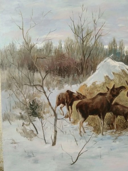 Алексей Степанович Степанов лоси