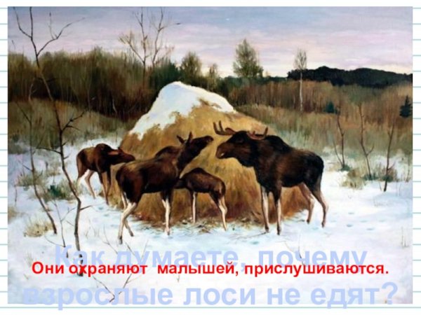 Александр Степанов лоси