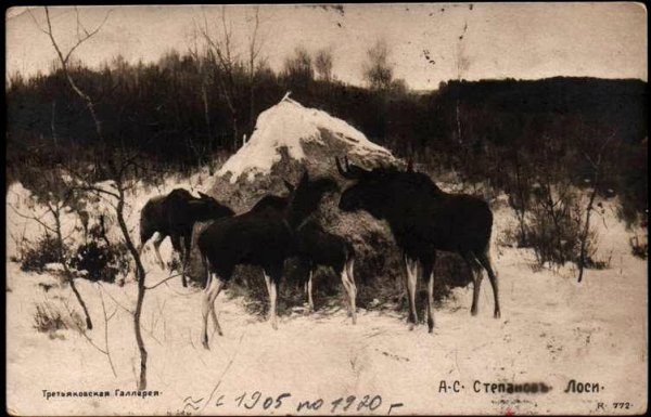 Картина Александра Степановича Степанова лоси