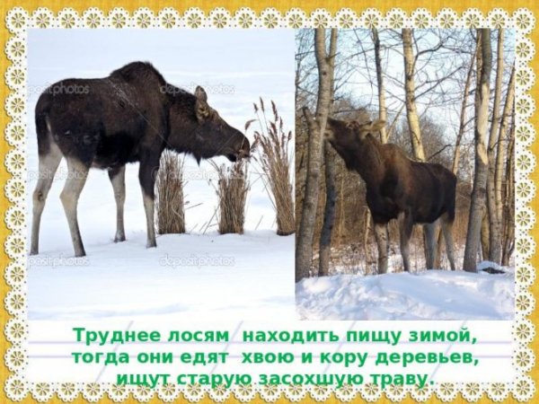 Степанов Алексей Степанович (1858-1923)