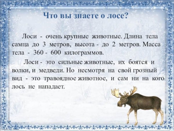 Алексей Степанов лоси