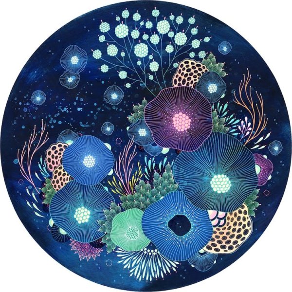 Круглое и красивое