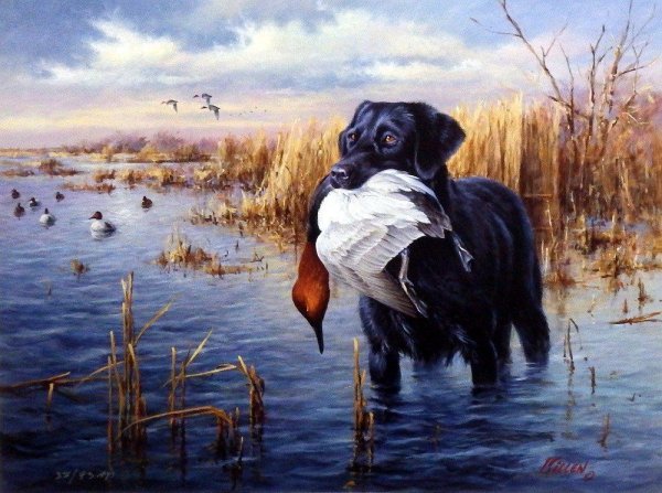 Jim killen картины