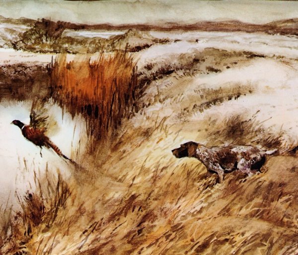 Охотничья тематика