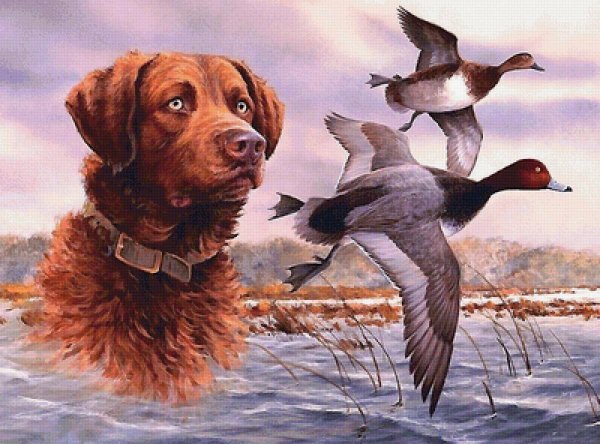 Художник Jim killen утки