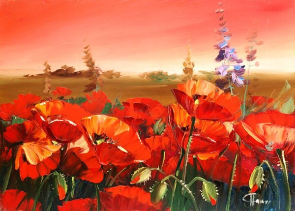 Картина маслом маки в поле
