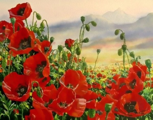 Пейзаж с красными маками