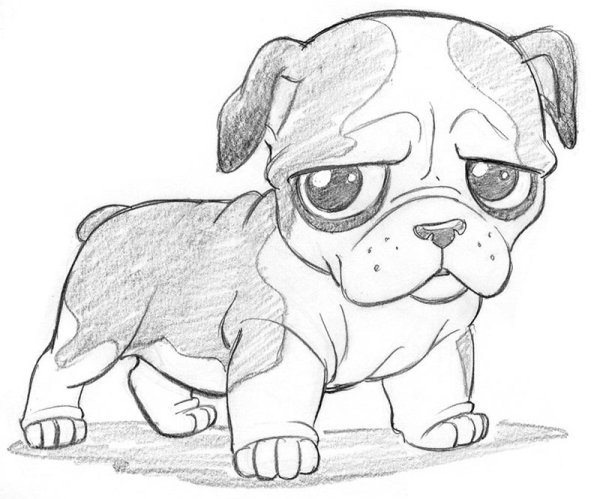 Рисунки для срисовки