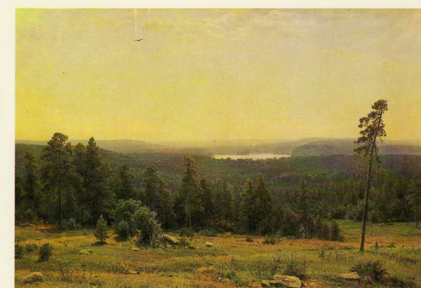 Шишкин Иван Иванович Лесные дали