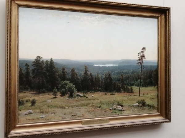 Шишкин Третьяковская галерея