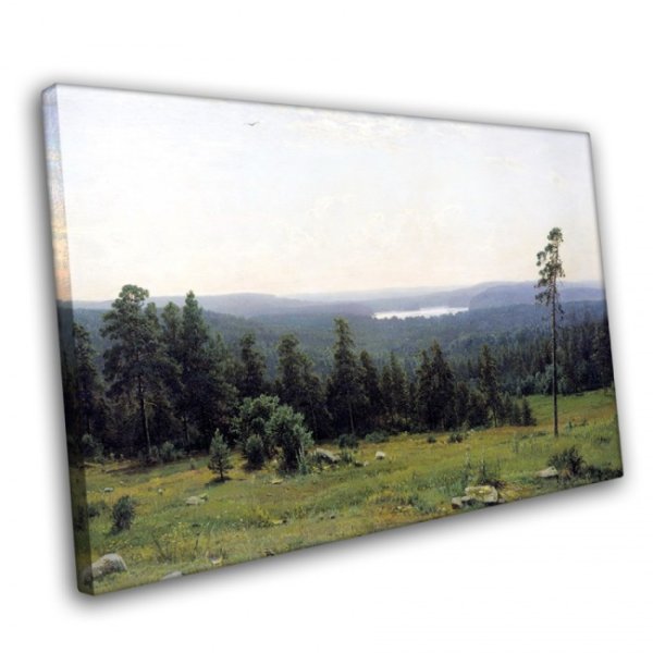 Шишкин и.и. Лесные дали, 1884. ГТГ