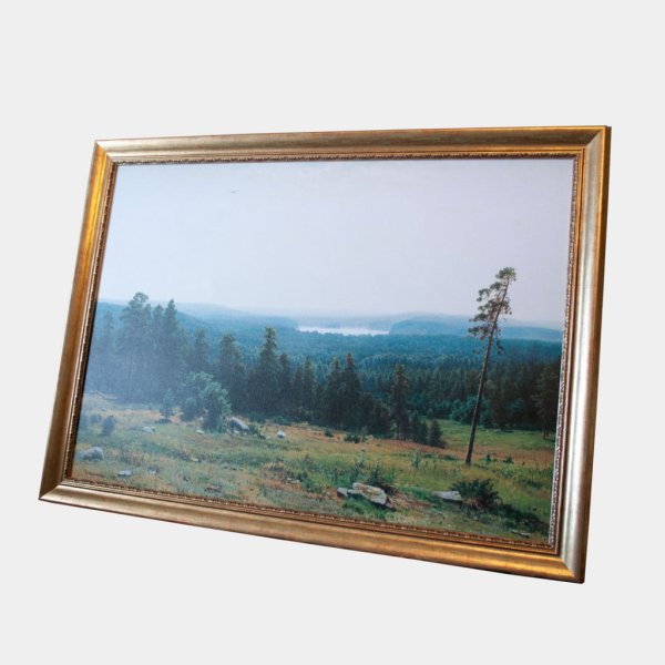 Художник Булаков Александр Владимирович