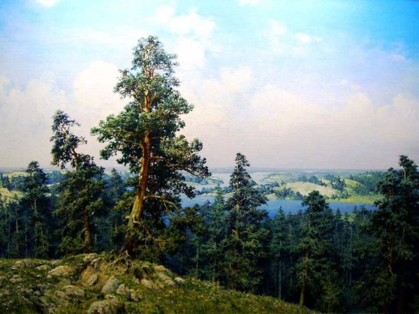 Художник Зайцев Виталий Геннадьевич