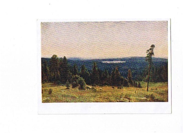 Лесные дали, 1884