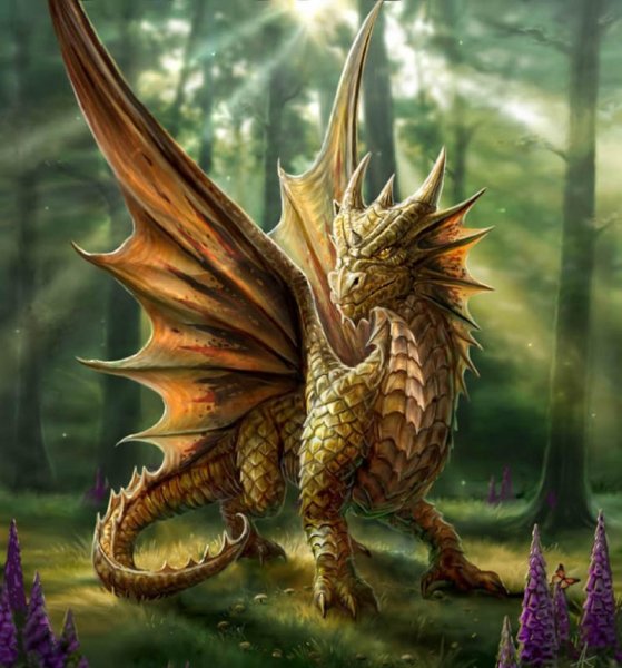 Драго сердце дракона