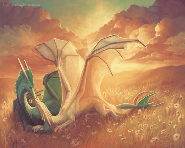 Красивый дракон