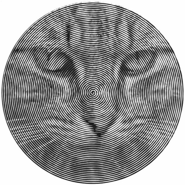 Spiroglyphics для печати Пейтон