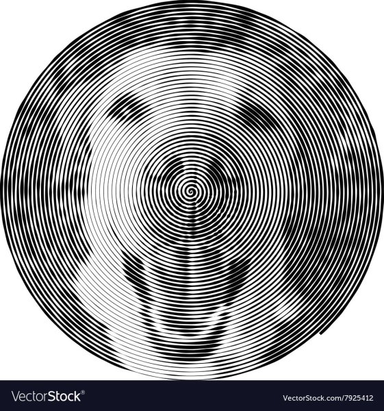 Спиральная раскраска