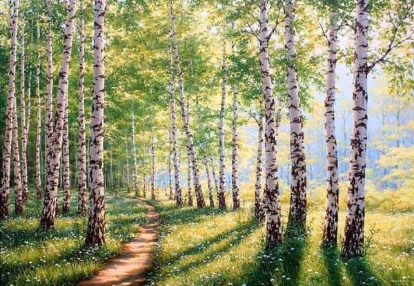 Художник Аркадий Олейник картины