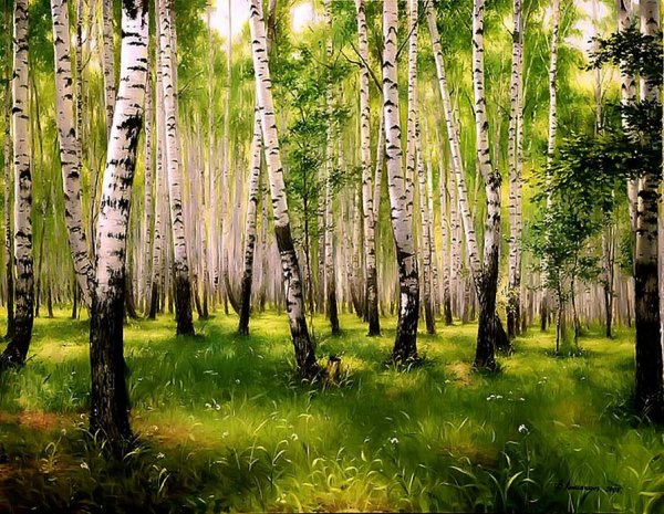 Владимир Деревенчук Березовая роща