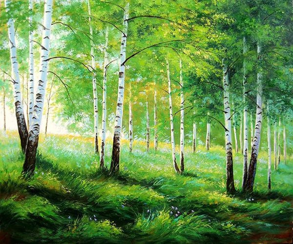 Сказочный березовый лес