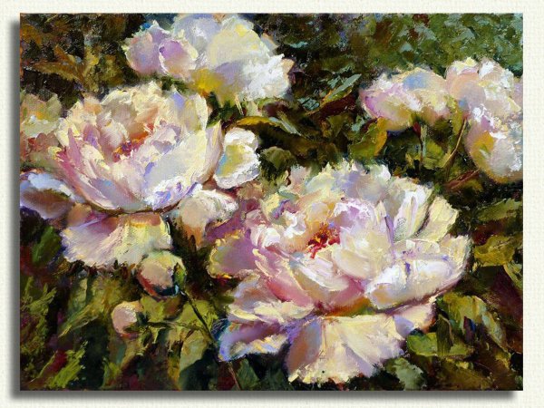 Алексей Зайцев пионы