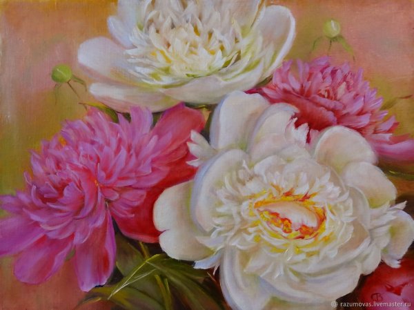 Светлана Разумова художник пионы